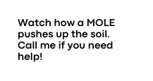 Watch how a MOLE pushes up the soil Call me if you need help